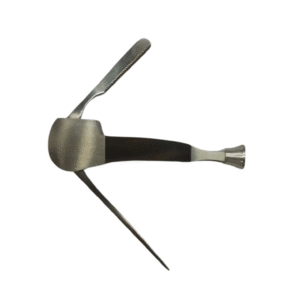 yang companion min.png