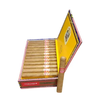 Partagas Shorts